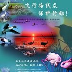 Environment Australia Chinese Translated Poster